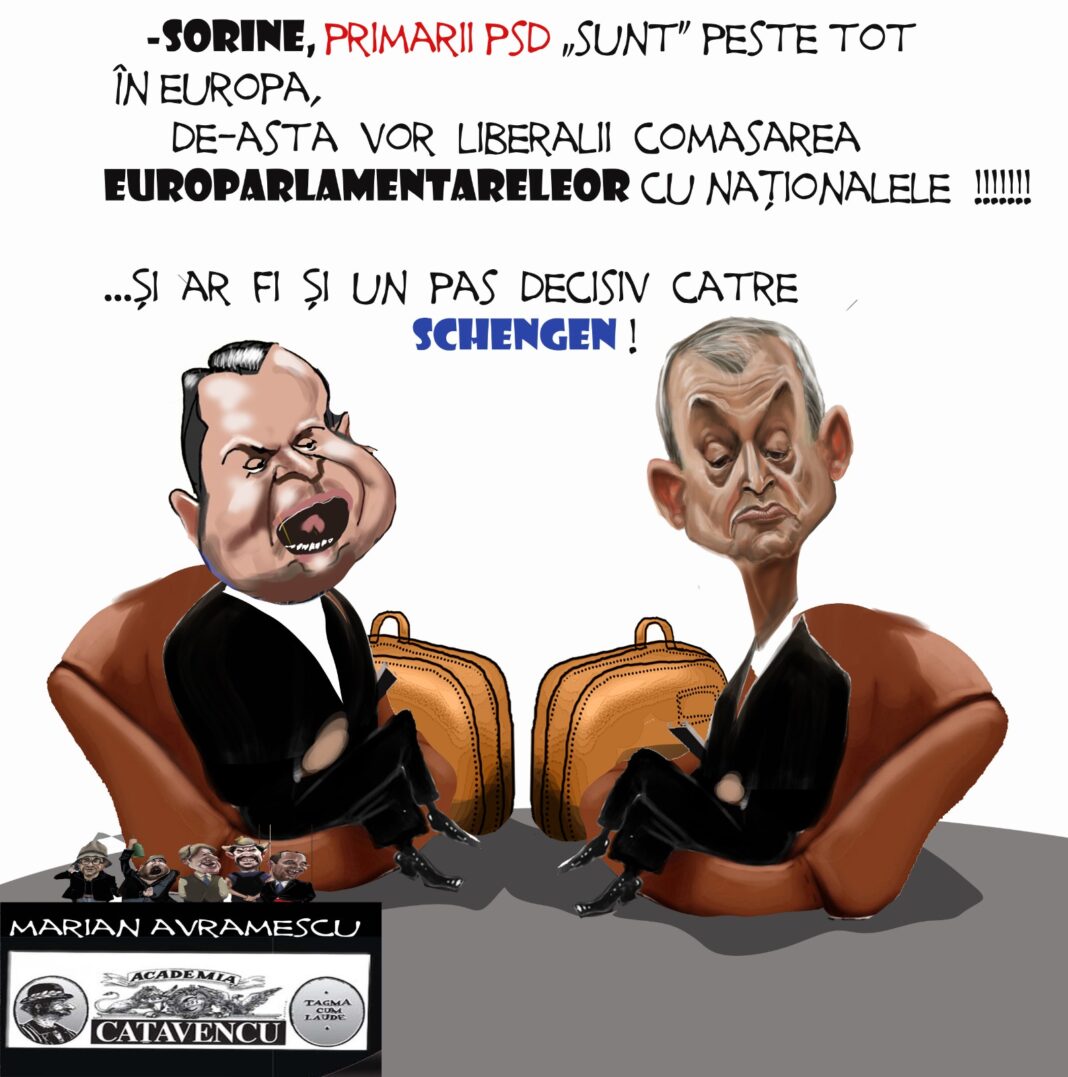 PNL și PSD despre comasare alegeri europarlamentare și locale
