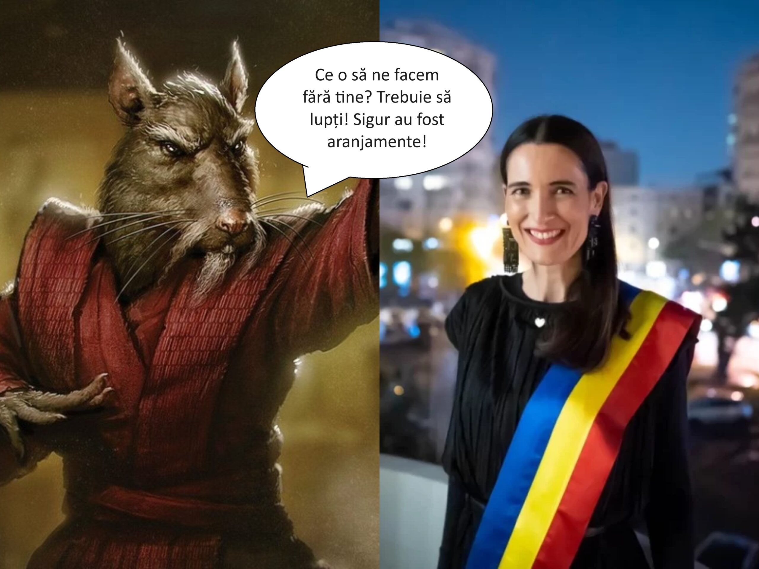 Clotilde Armand șobolani sectorul 1