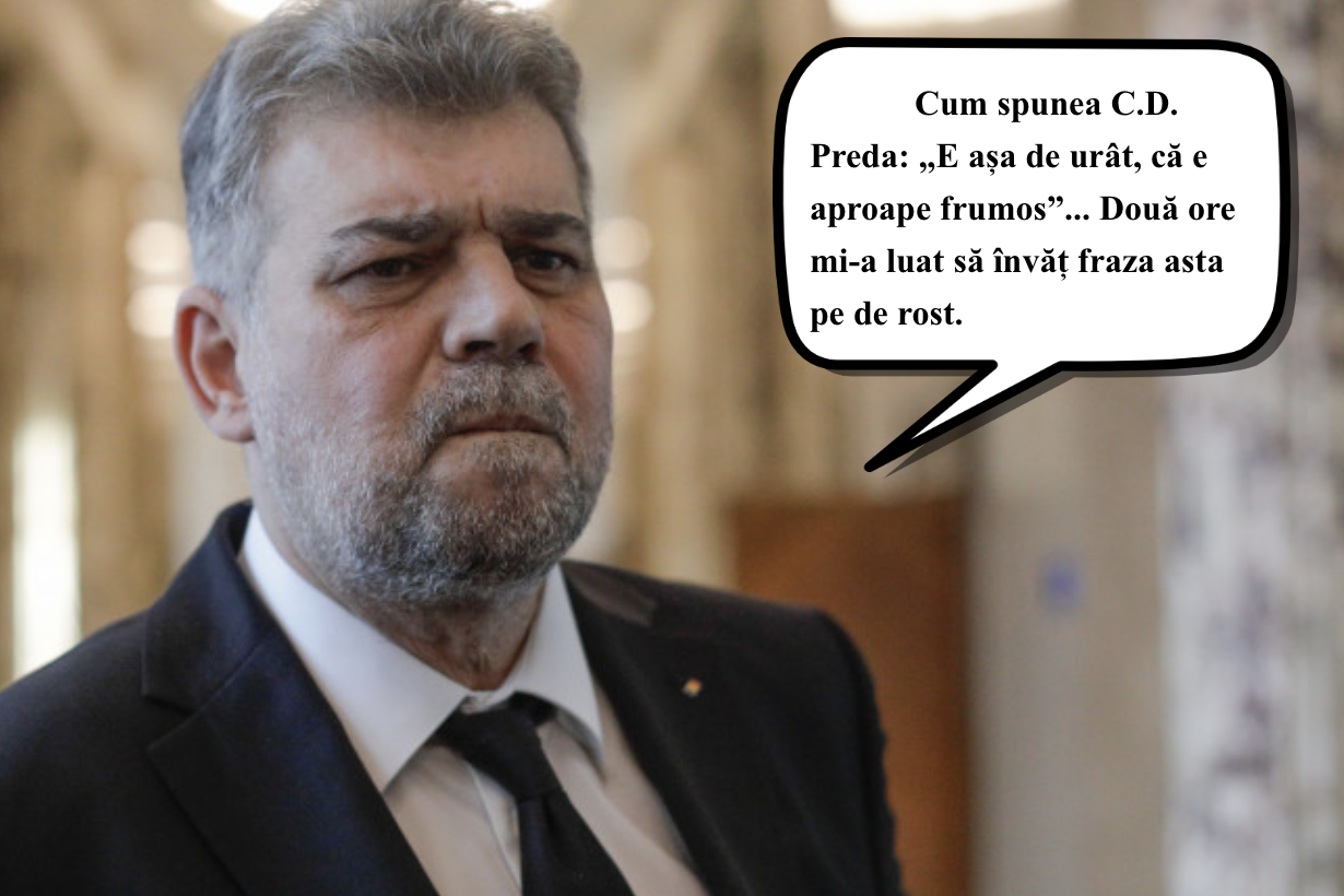 Meet Marcel, the Unconventional Beauty: A Story of Embracing Imperfection